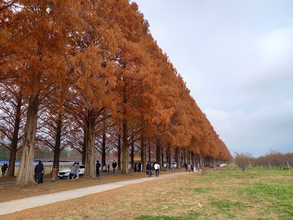 農業公園牧野Pic-land（農業公園マキノピックランド） 實景照片 3