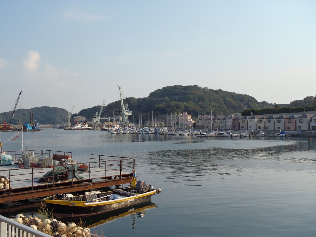 橫須賀深浦海之驛（よこすか・ふかうら海の駅） 實景照片 3