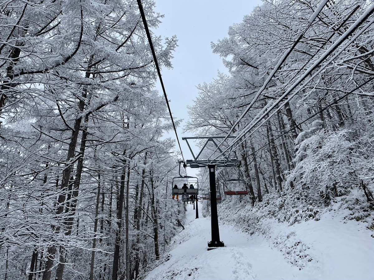 草津溫泉滑雪場（草津温泉スキー場） 實景照片 10