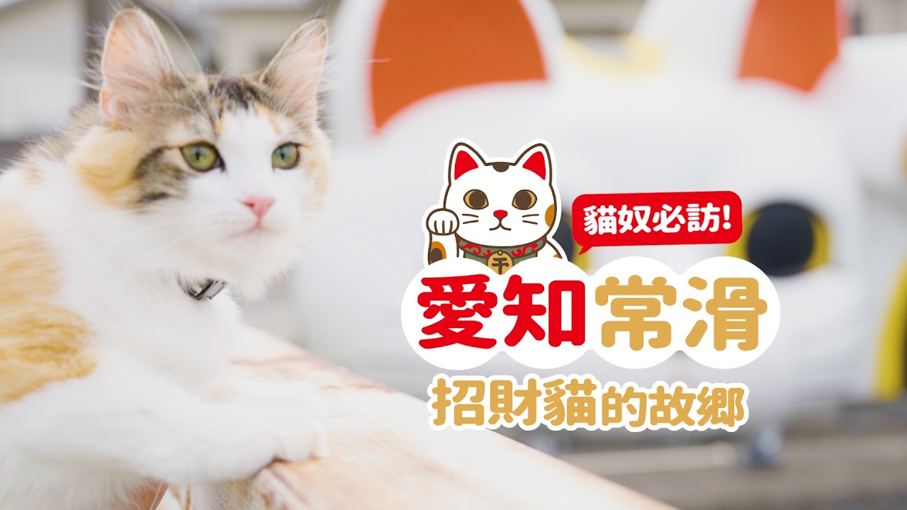 【名古屋近郊】愛知縣常滑市這樣玩！｜陶瓷器散步道、招財貓工廠、AEON Mall常滑｜貓導遊帶路！
