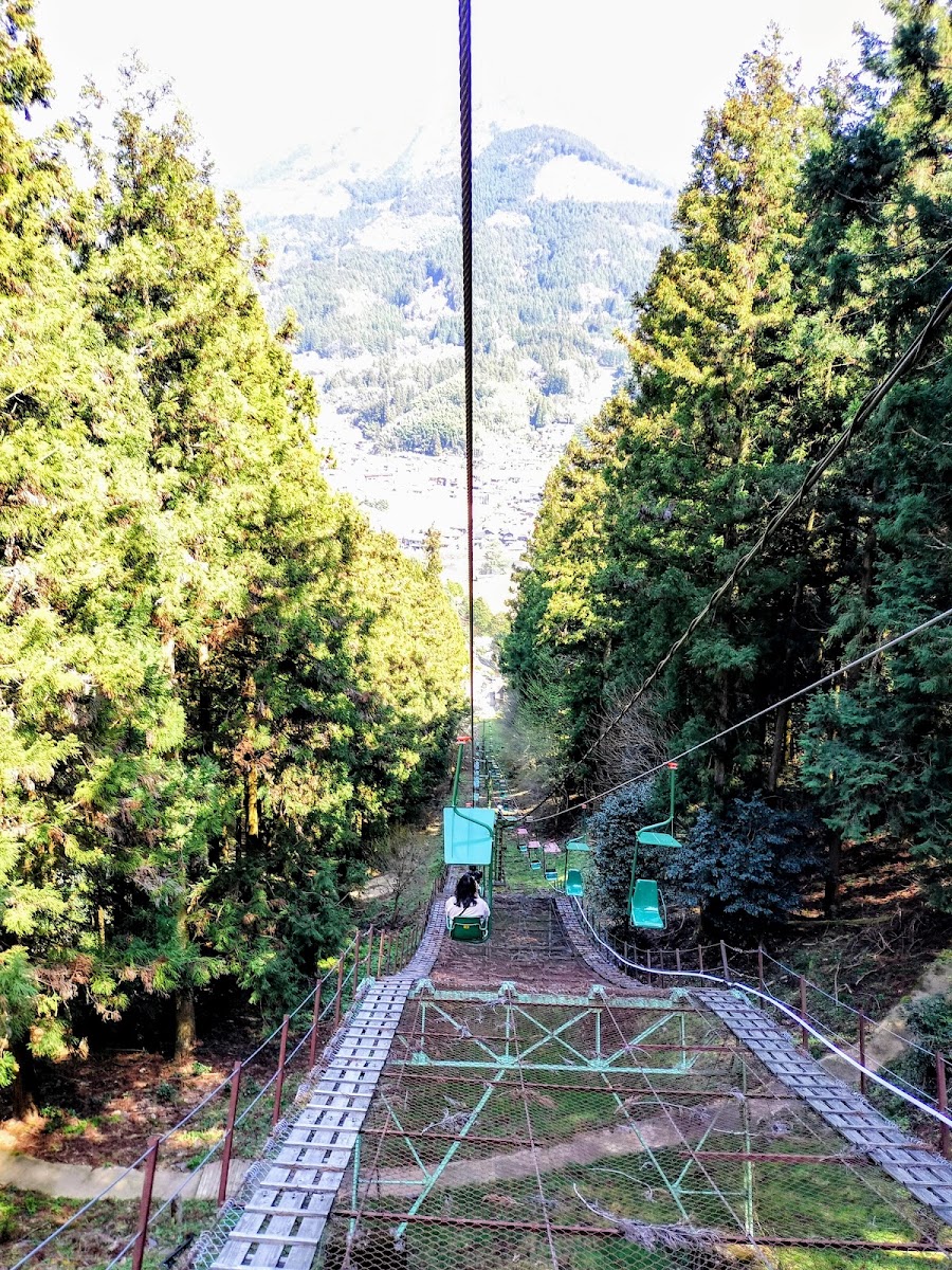 搭乘觀光纜車穿梭綠意山林
