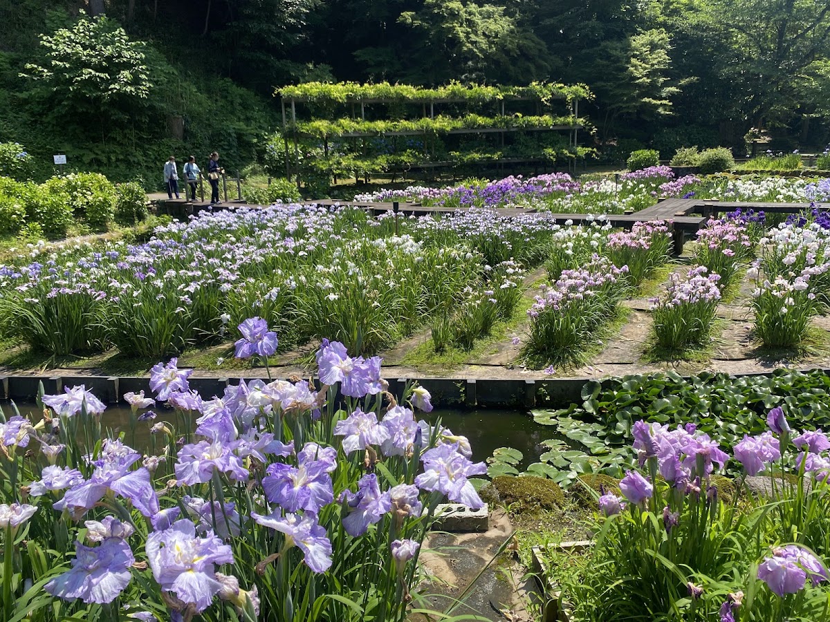 卯辰山公園 實景照片 6