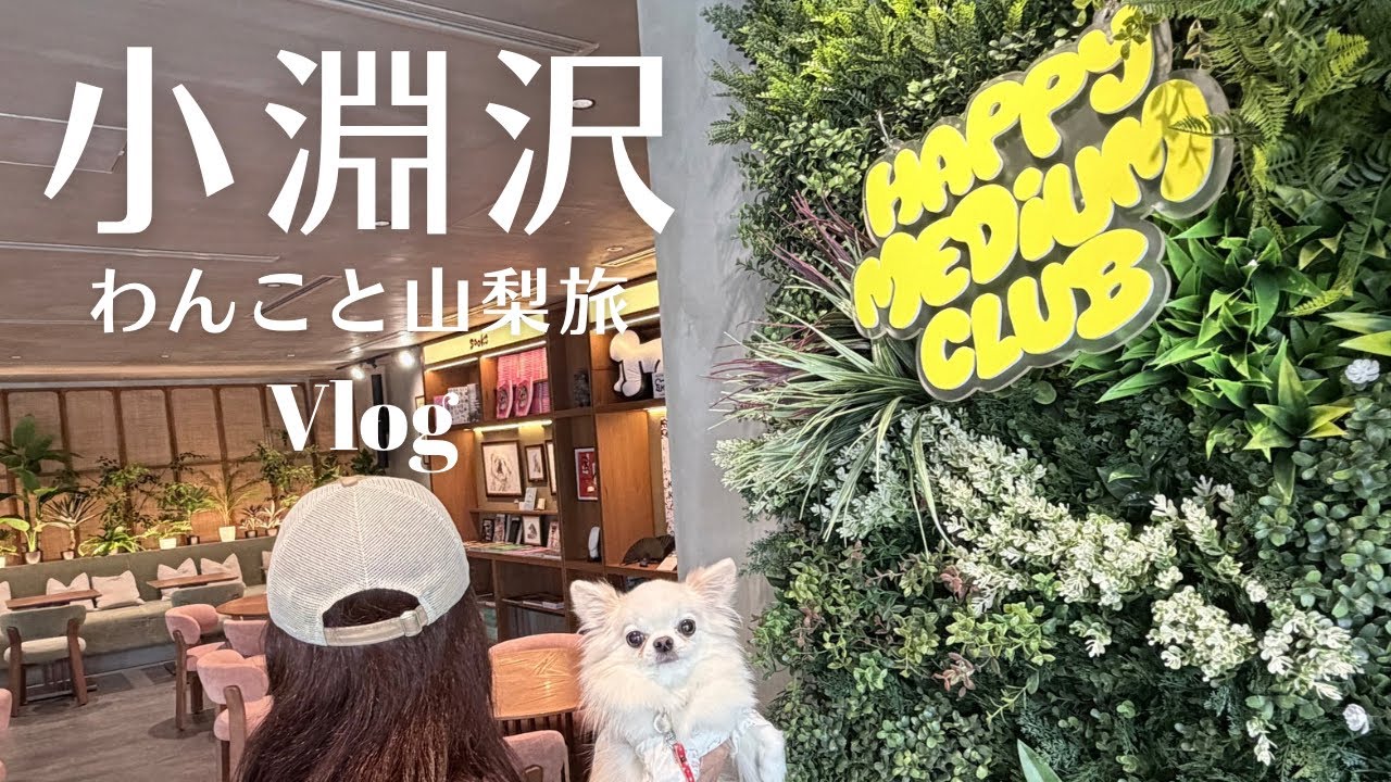 愛犬チワワと小淵沢のおしゃれカフェ&リゾナーレ八ヶ岳ピーマン通り散策🐶山梨Vlog Ep.1