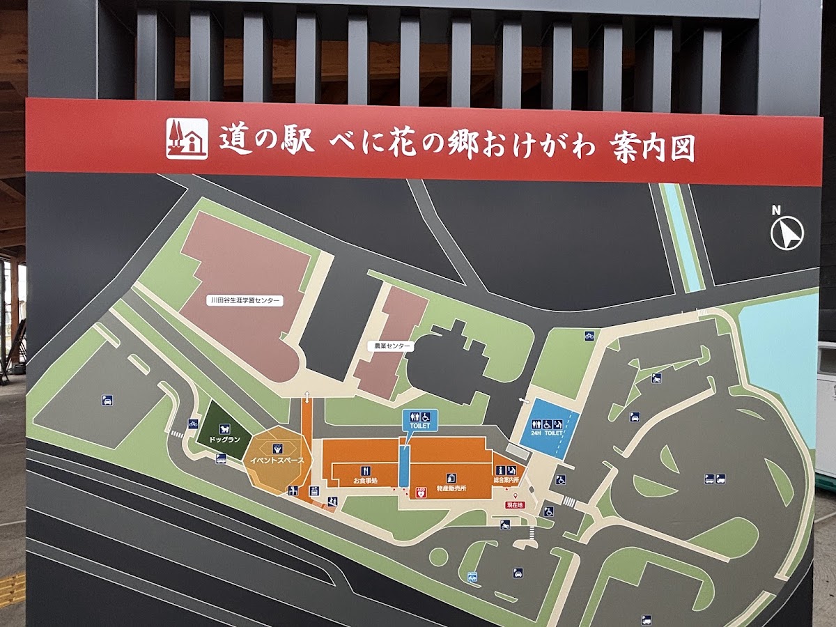 道之驛 紅花之鄉桶川（道の駅 べに花の郷おけがわ） 實景照片 7