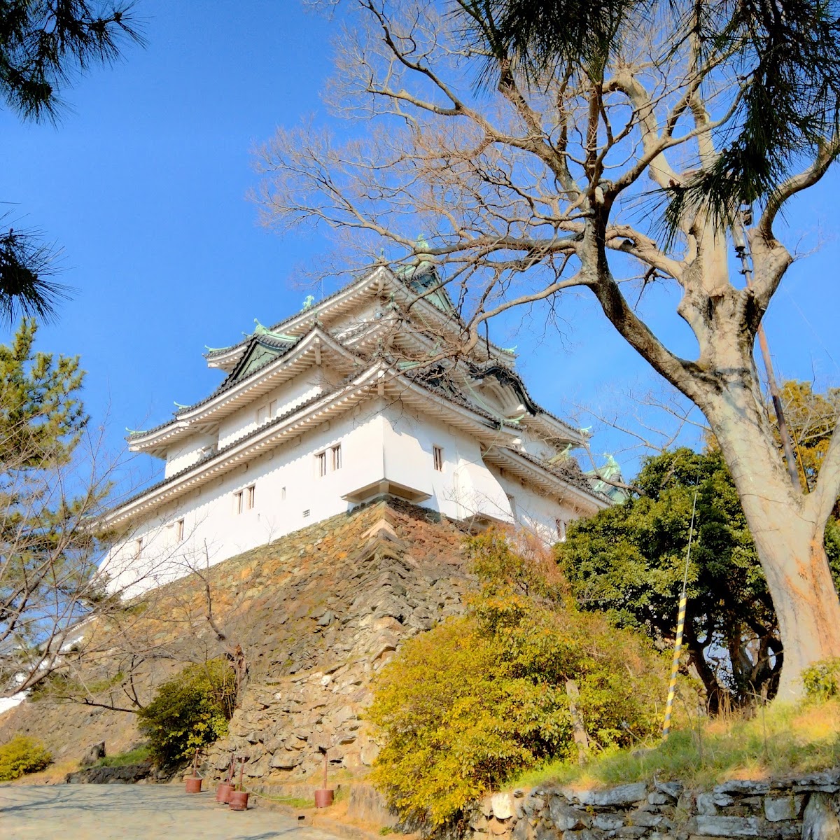 和歌山城 實景照片 7