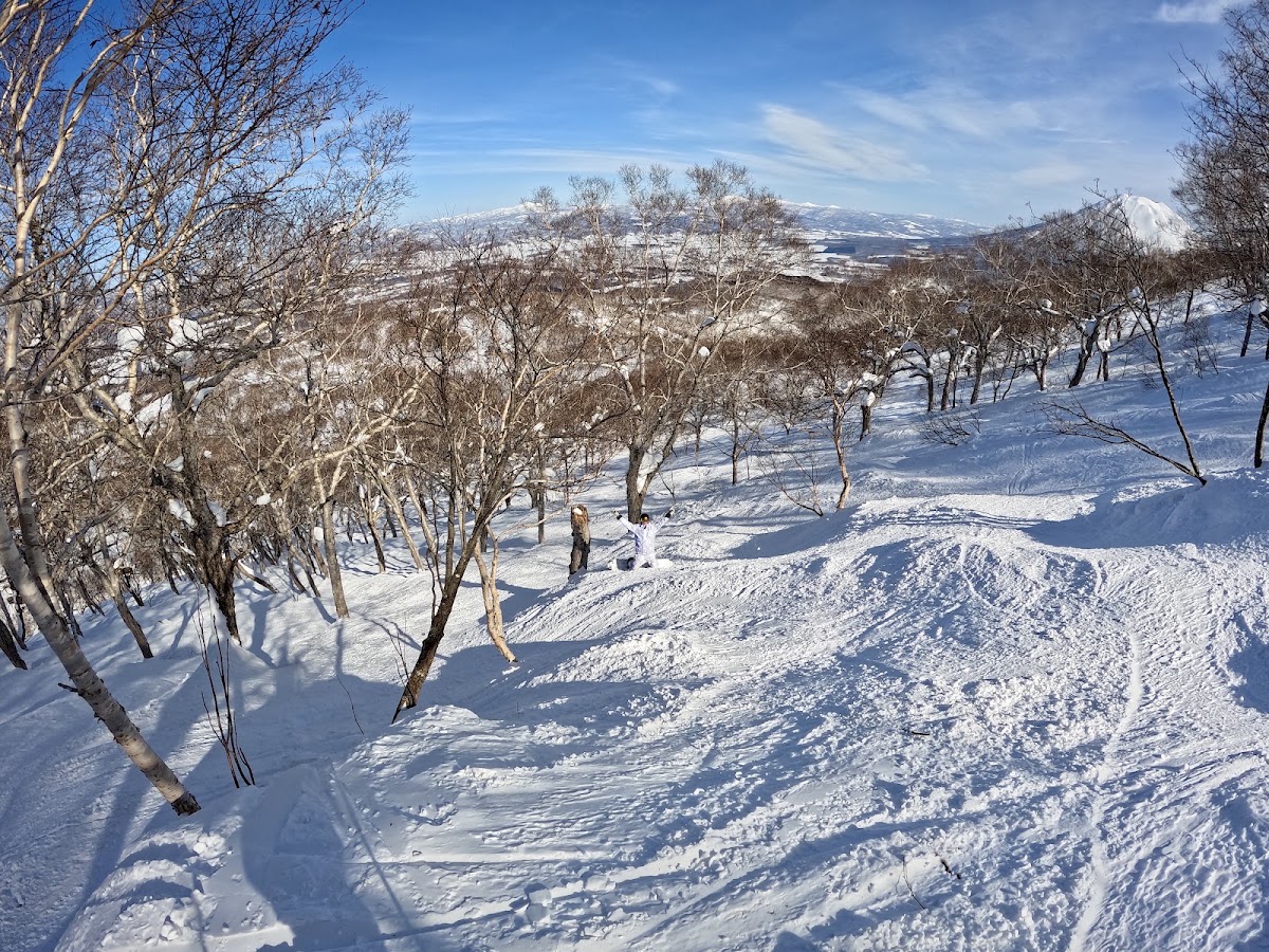 雪地樹林中的滑雪遊客大景