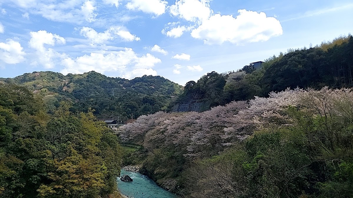 道之驛 しらまの里（道の駅 しらまの里） 實景照片 9