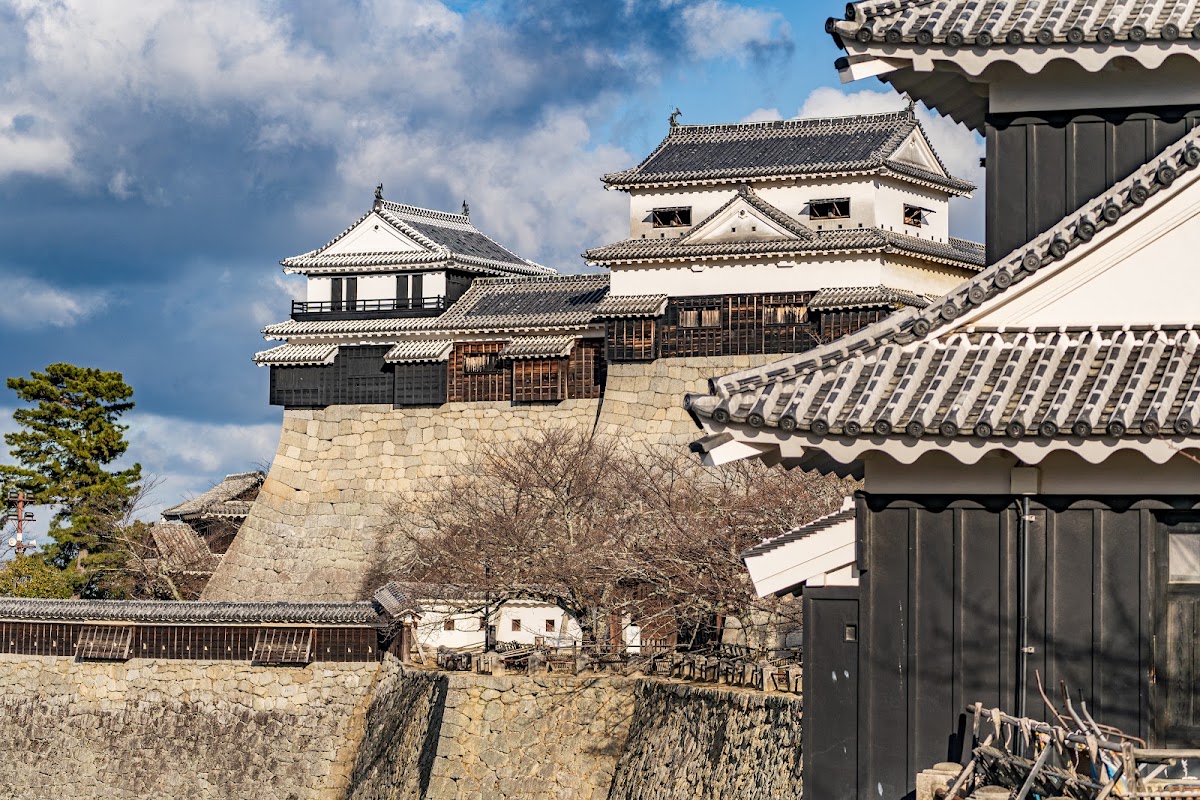 松山城 實景照片 8