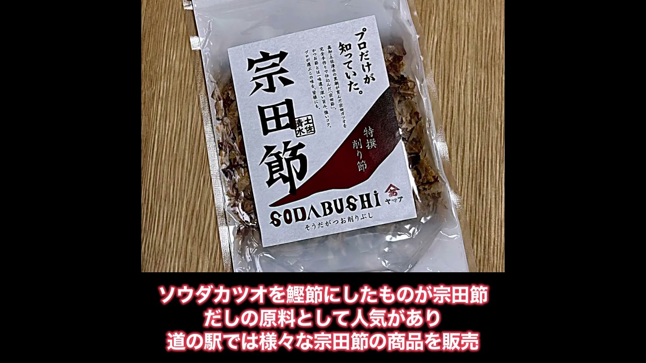 【高知県】日本一の生産地!宗田節の「だし」でほっと一息「道の駅 めじかの里土佐清水」【バイクツーリング道の駅探訪】