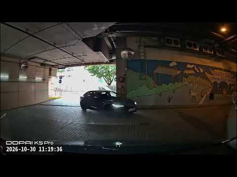 車CAM直擊 - Teslun壞腦系列 出口當入口