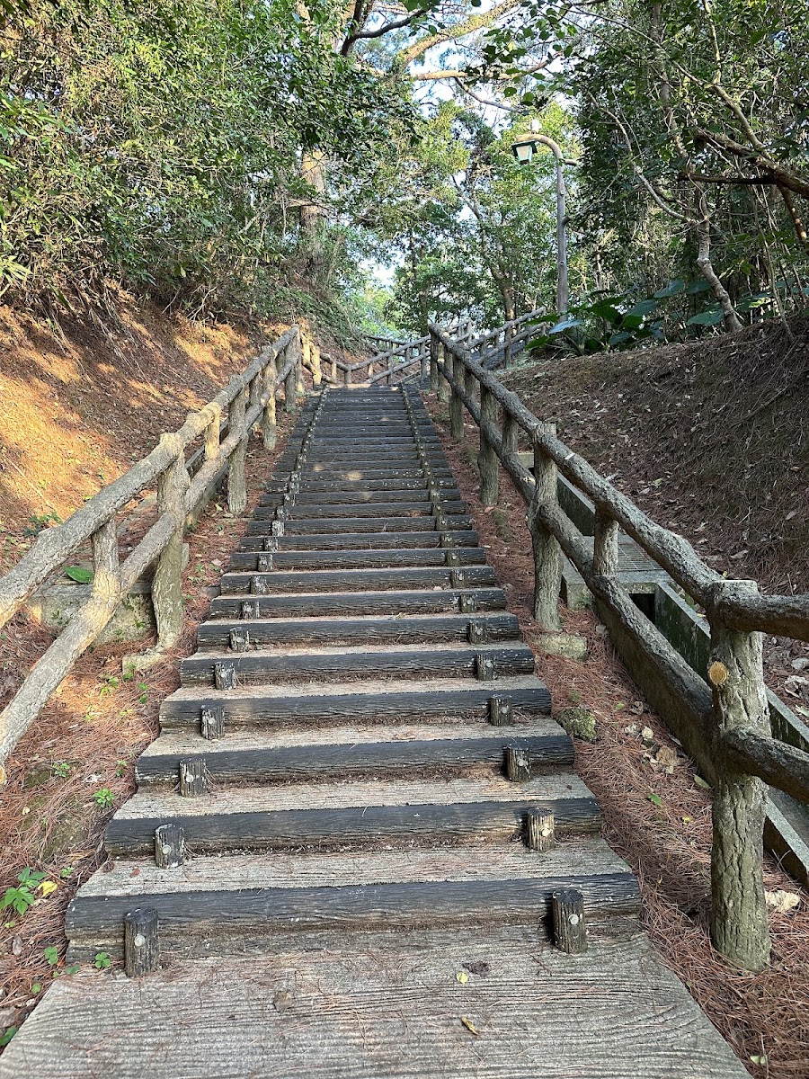 桃原公園 實景照片 8