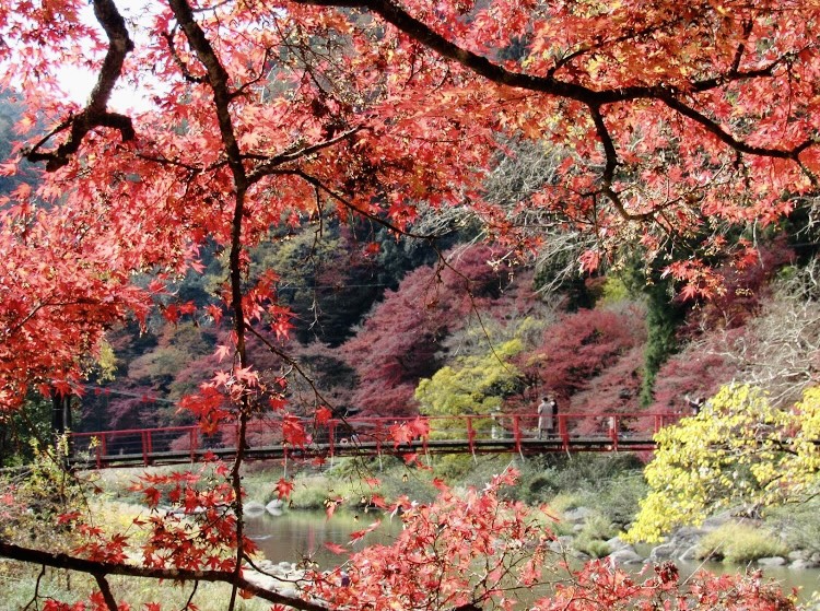 香嵐溪(香嵐渓) 實景照片 6