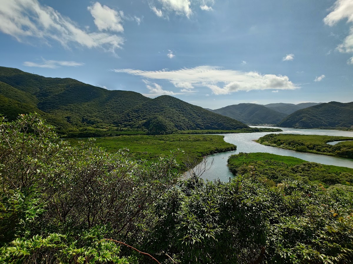 道之驛 奄美大島住用(道の駅 奄美大島住用) 實景照片 1
