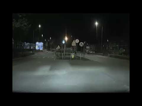 車CAM直擊 - 錦田 牛牛過馬路被撞 2024/11/30 凌晨