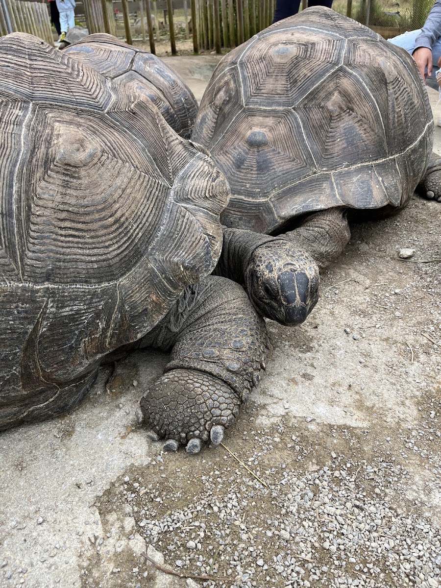 名護自然動植物公園(ネオパークオキナワ) 實景照片 9