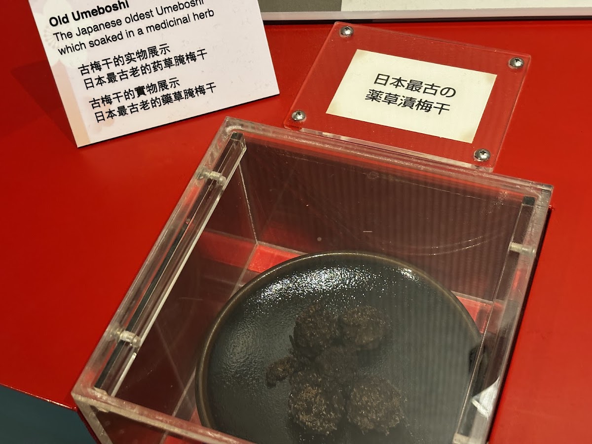 道之驛 南部梅振興館（道の駅 みなべうめ振興館） 實景照片 10