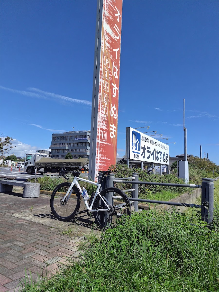 道之驛 蓮沼(道の駅 オライはすぬま) 實景照片 5