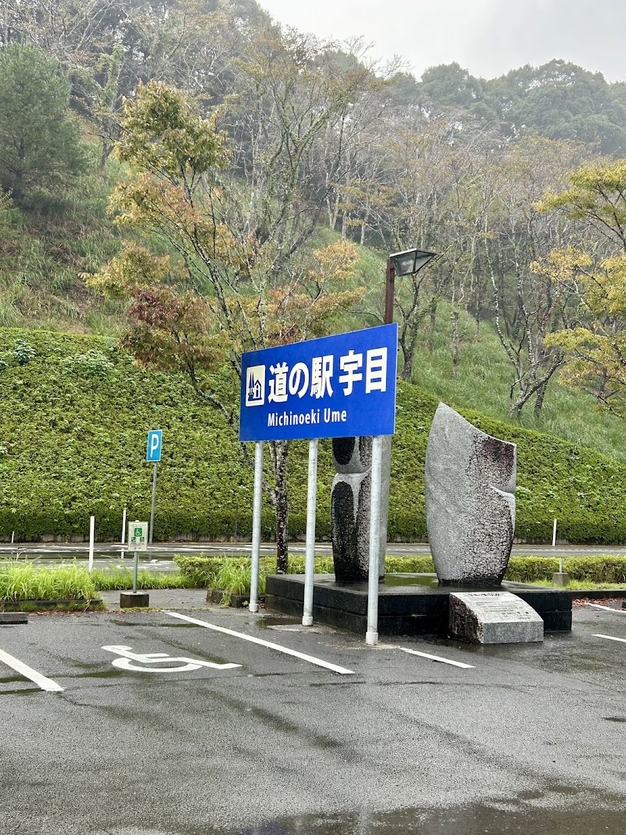 道之驛 宇目（道の駅 宇目） 實景照片 3