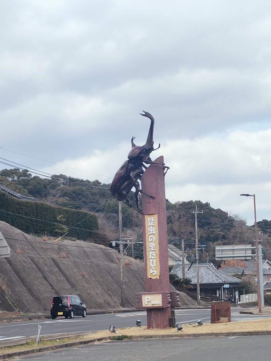 道之驛 昆蟲之里田平（道の駅 昆虫の里たびら） 實景照片 4
