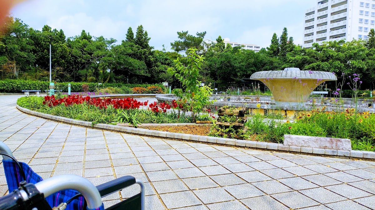 漫湖公園 實景照片 8