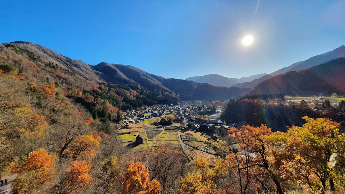 城山天守閣展望台（城山天守閣 展望台）