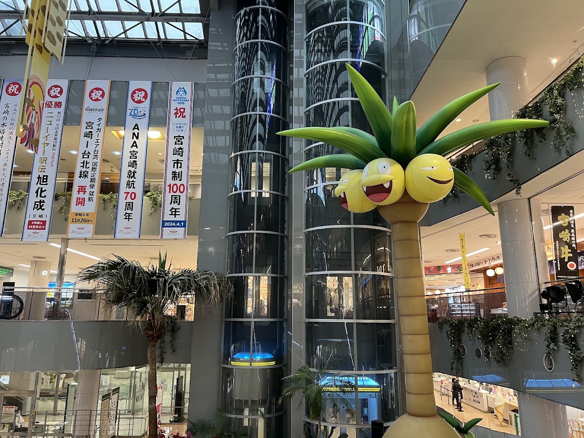 宮崎機場 KMI(宮崎空港) 實景照片 6