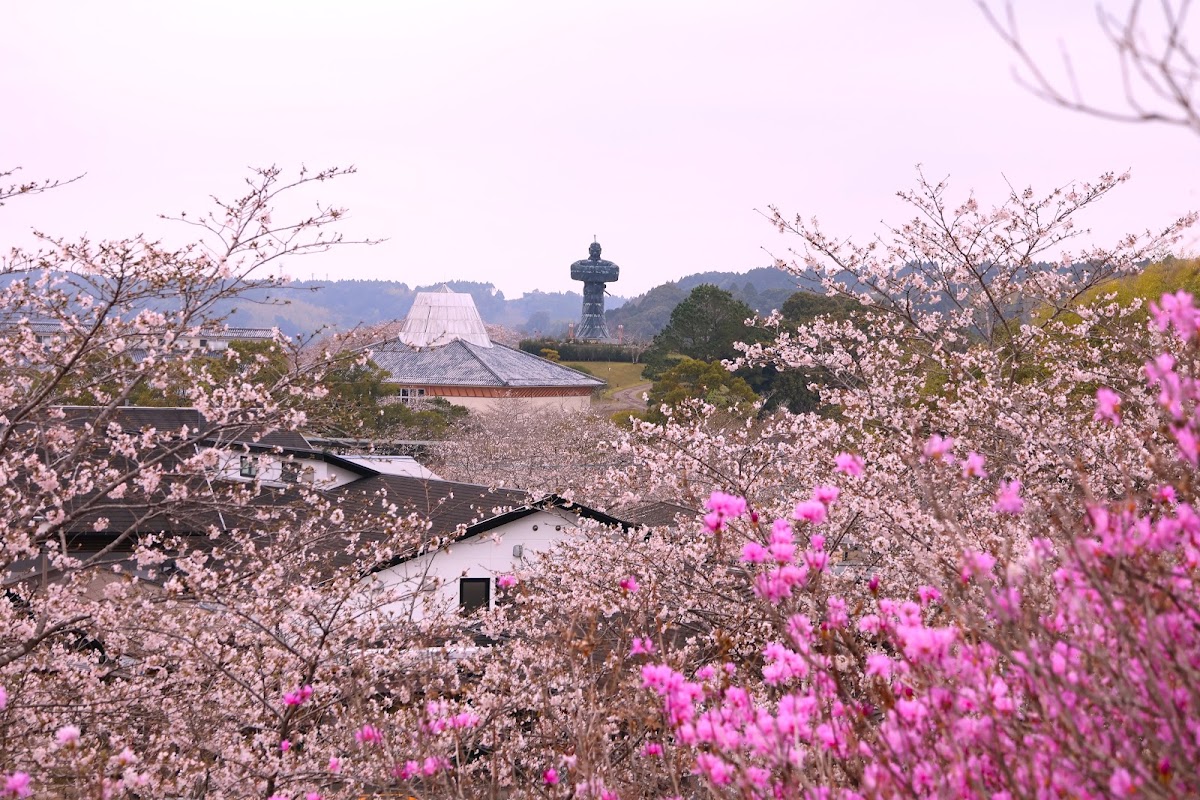 道之驛 大隅彌五郎傳說之里(道の駅 おおすみ弥五郎伝説の里) 實景照片 6