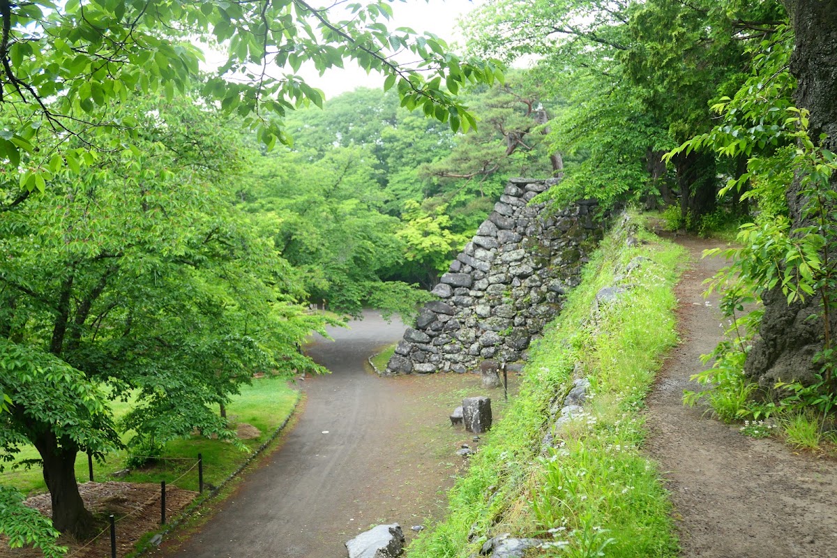小諸城 實景照片 10