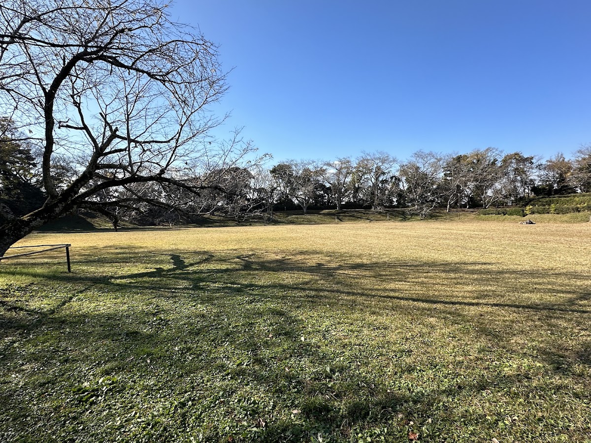 佐倉城跡公園晴朗大景