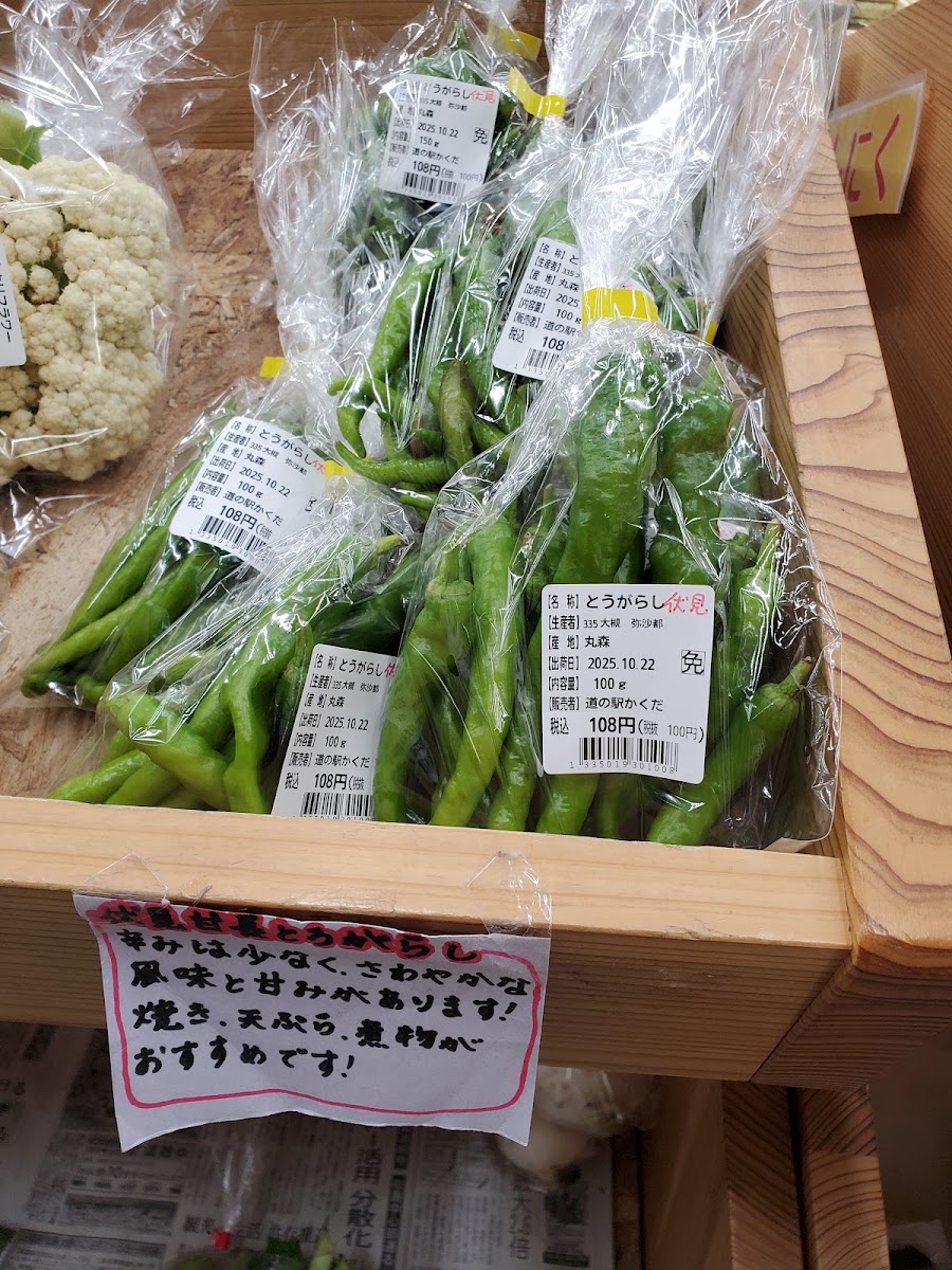 道之驛 角田（道の駅 かくだ） 實景照片 3