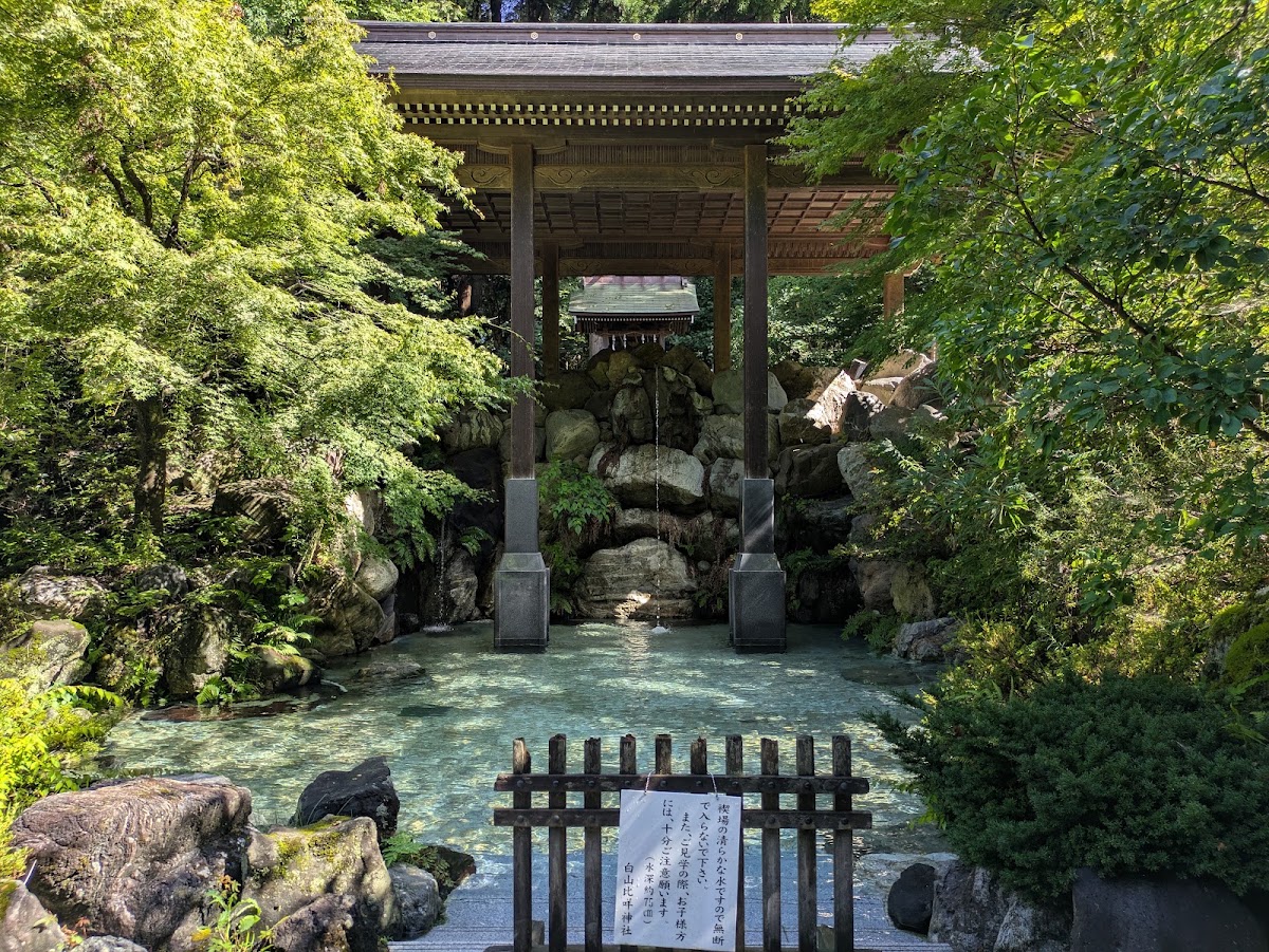 白山比咩神社 實景照片 10