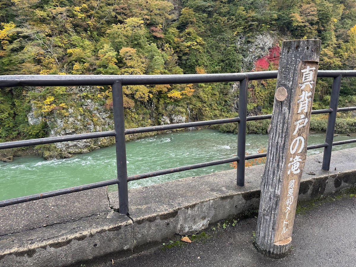 道之驛 上平(道の駅 上平) 實景照片 9