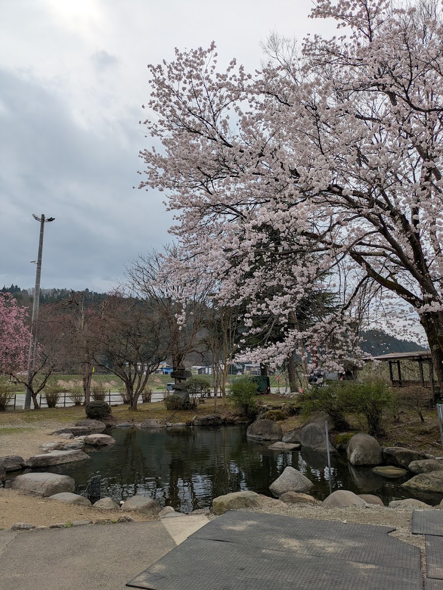 道之驛 白鷹簗公園(道の駅 白鷹ヤナ公園) 實景照片 4