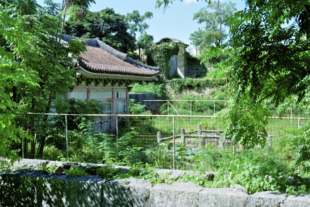 圓覺寺跡(円覚寺跡) 實景照片 8