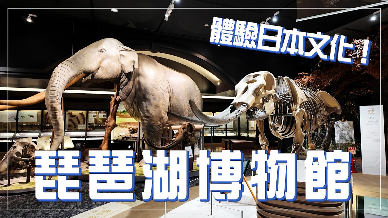 琵琶湖博物館🎌 日本最大的湖泊 | 感受日本的自然與文化!