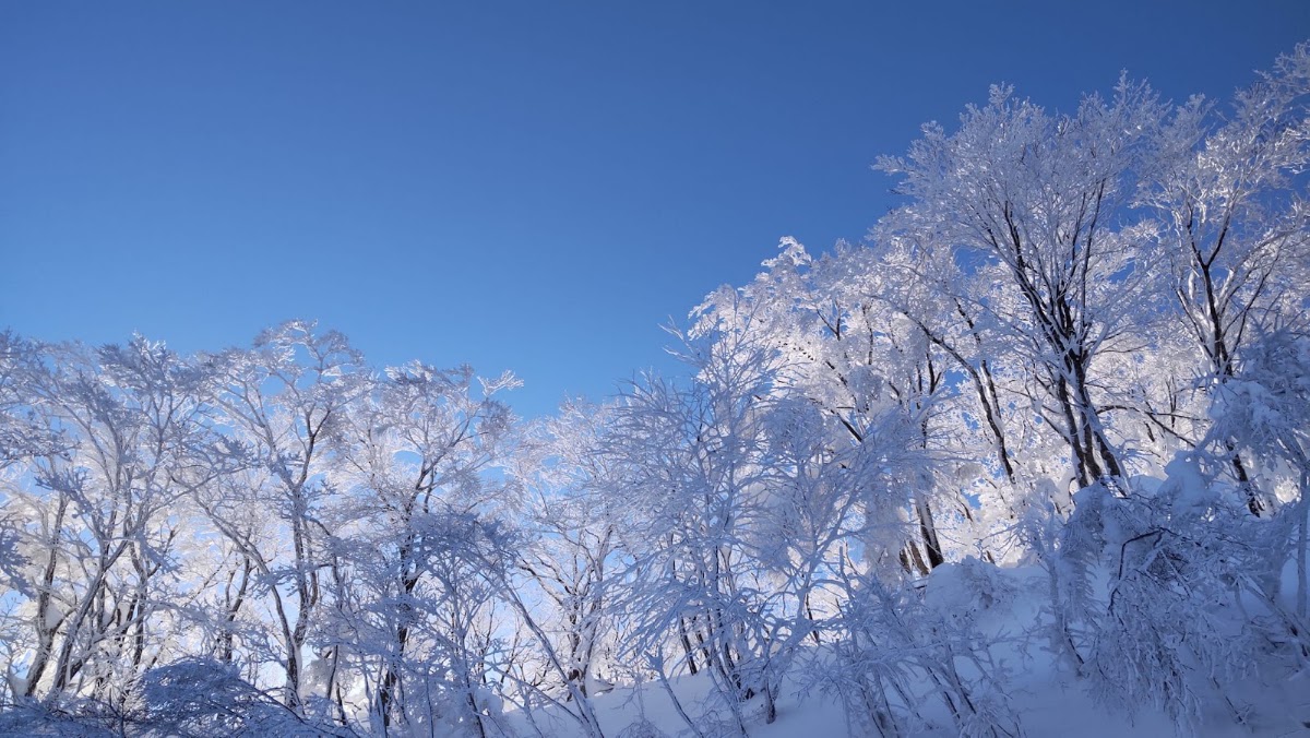 大山國際滑雪場（大山国際スキー場） 實景照片 3