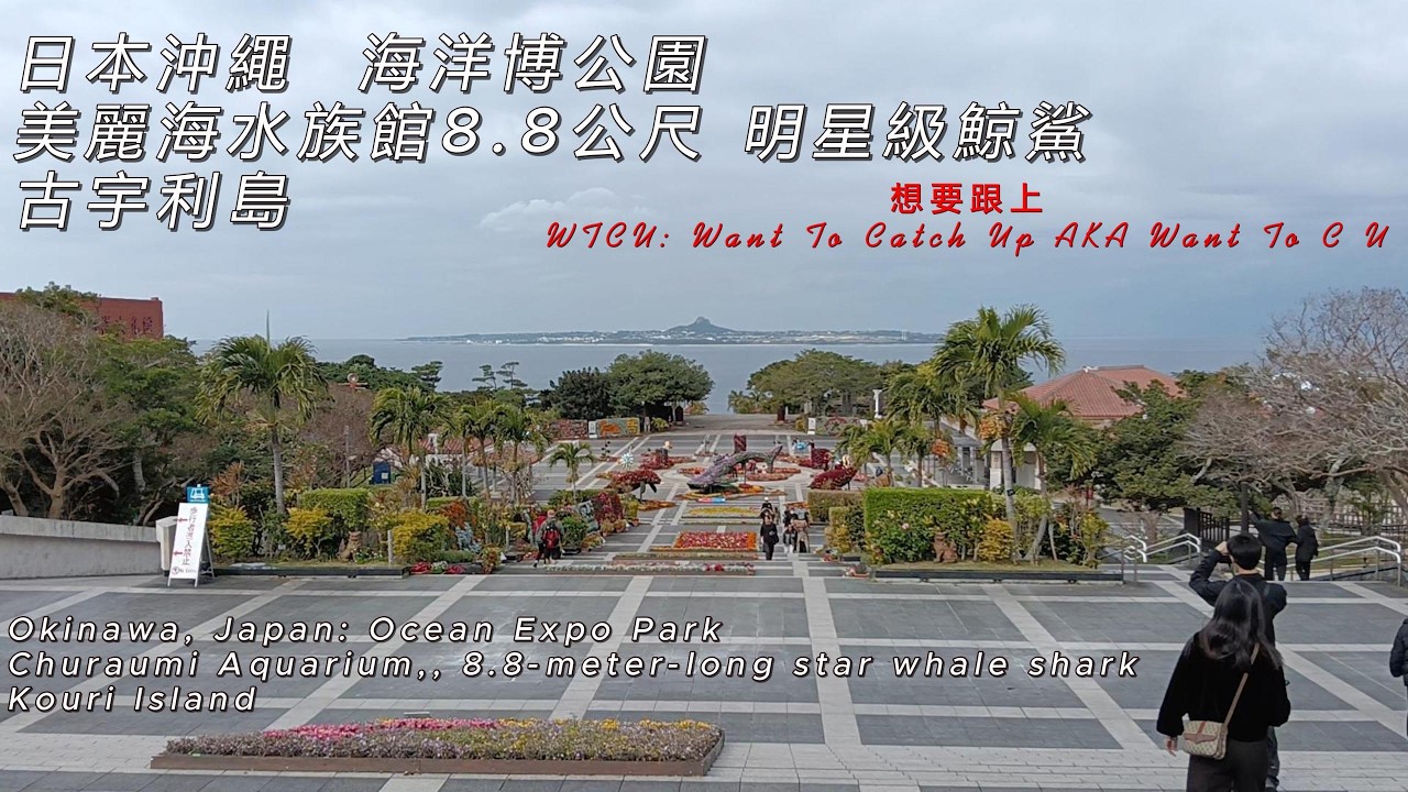 日本沖繩 美麗海水族館 海洋博公園 古宇利島 8.8公尺 明星級鯨鯊 Okinawa, Japan: Churaumi Aquarium, Ocean Expo Park, Kouri Island