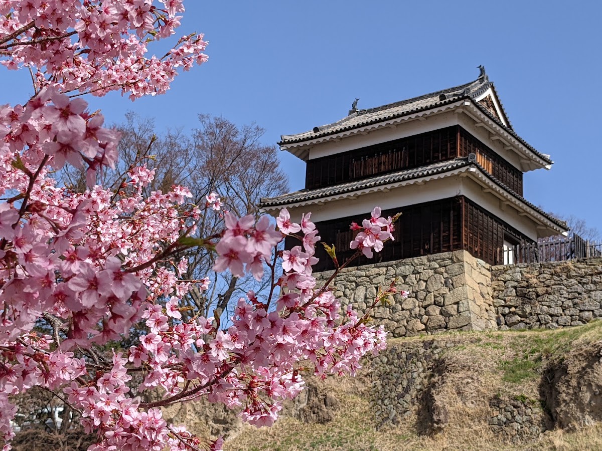 上田城 實景照片 7