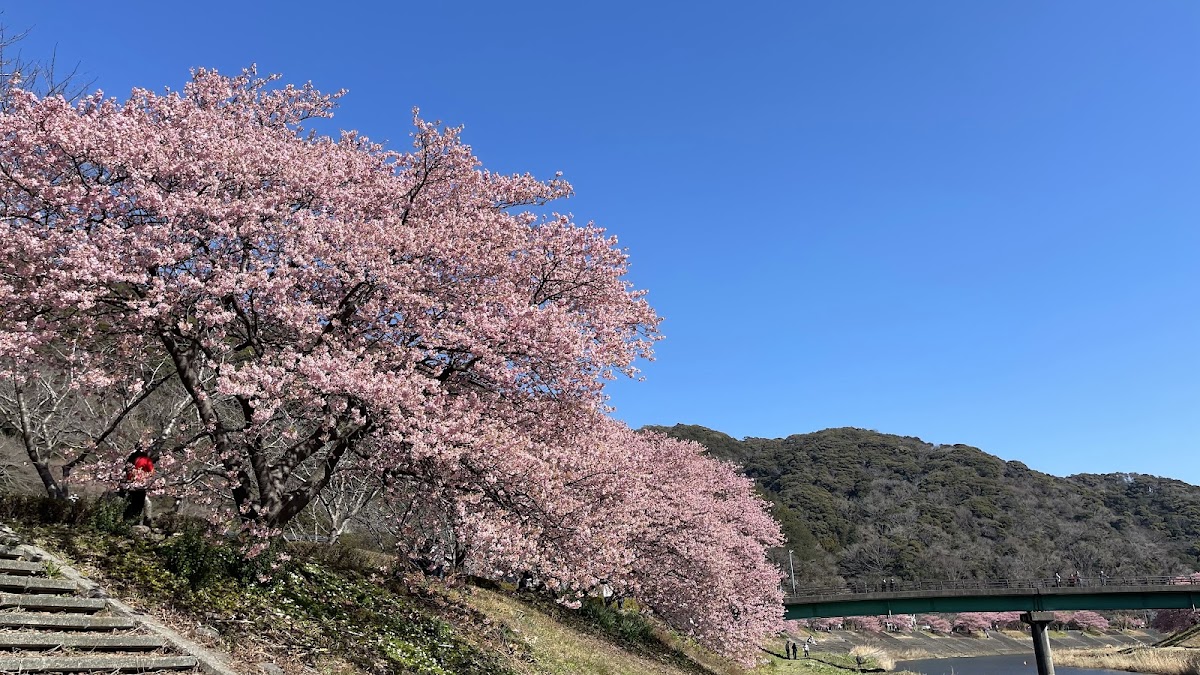 道之驛 下賀茂溫泉 湯之花(道の駅 下賀茂温泉 湯の花) 實景照片 1