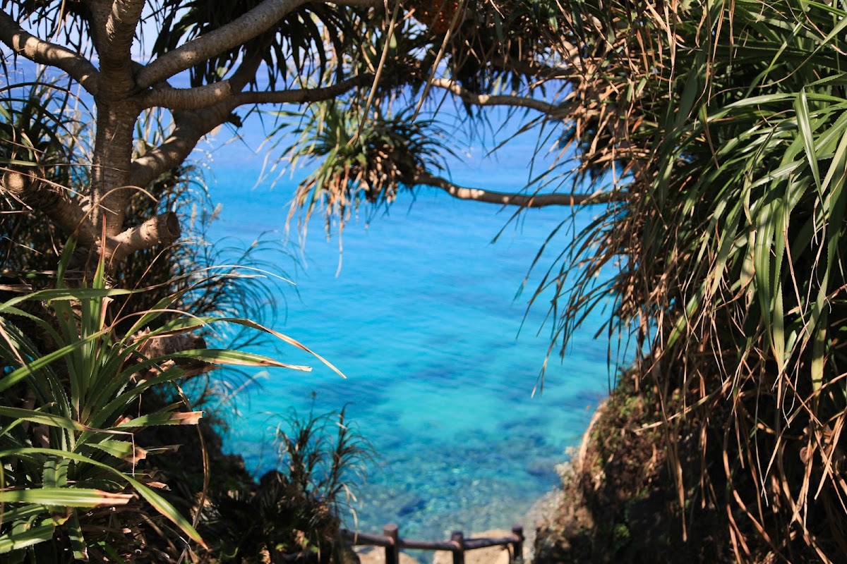 津堅島 實景照片 6
