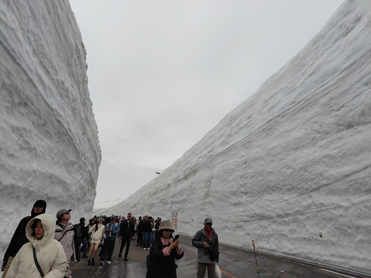遊客漫步於高聳雪壁之間