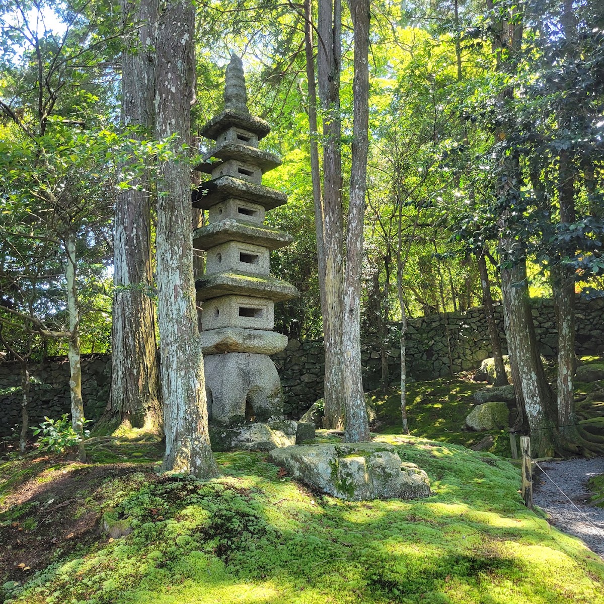 舊竹林院（旧竹林院） 實景照片 9