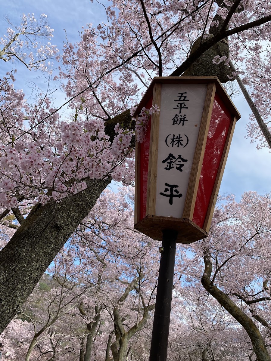 高遠城 實景照片 4
