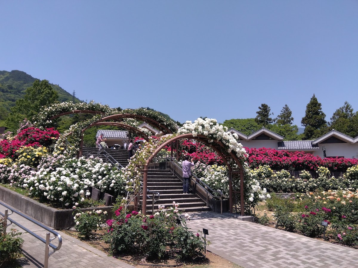 道之驛 身延(道の駅 みのぶ) 實景照片 8