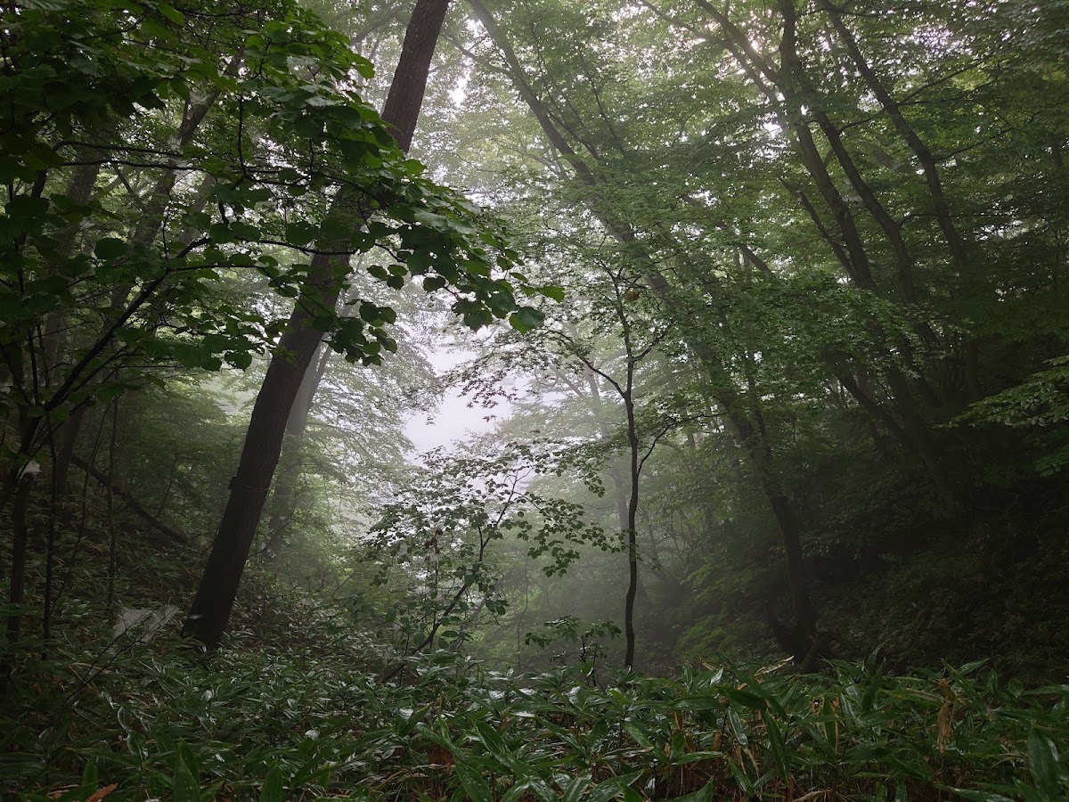 霧降瀑布(霧降の滝) 實景照片 9