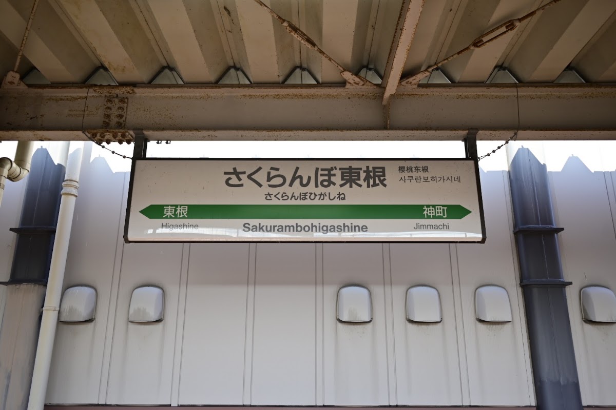 JR櫻桃東根站 新幹線(さくらんぼ東根駅) 實景照片 5