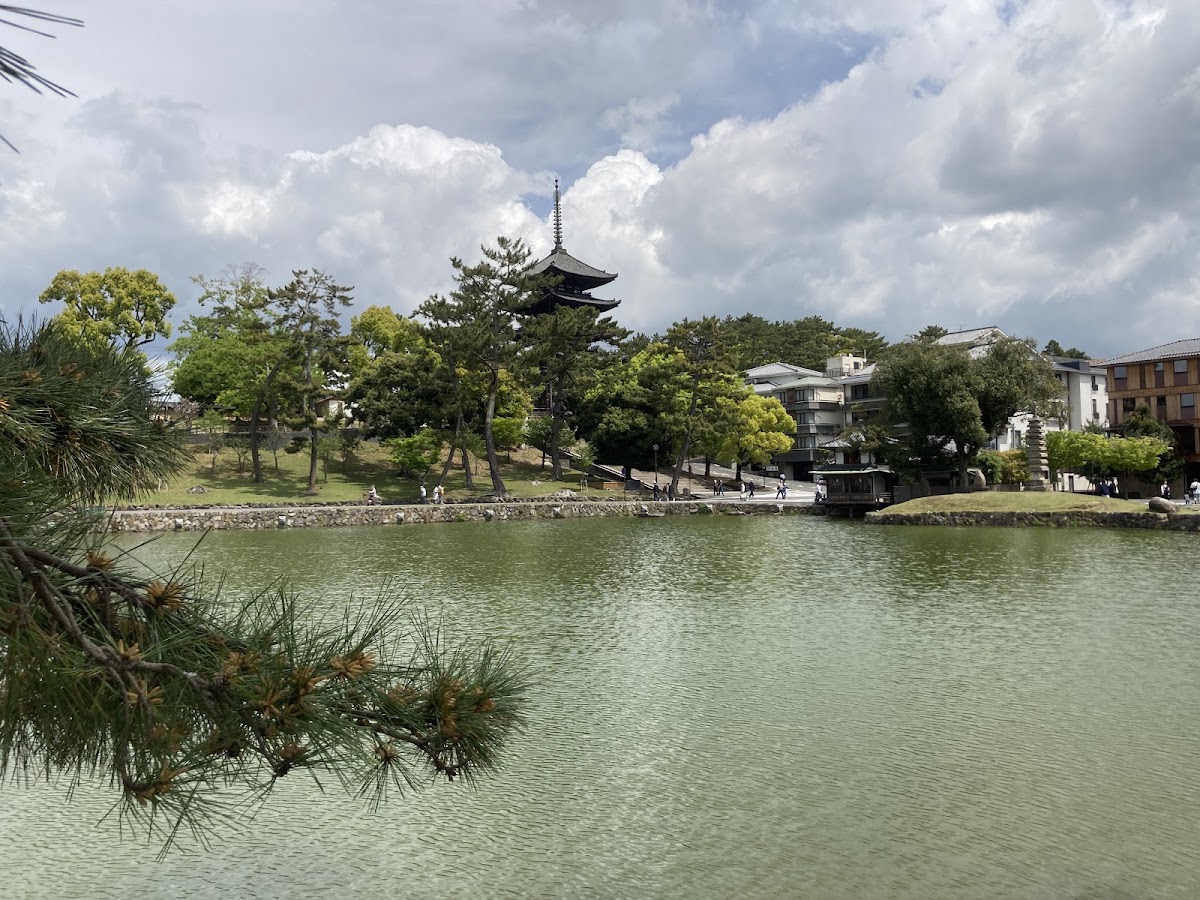 興福寺 實景照片 4