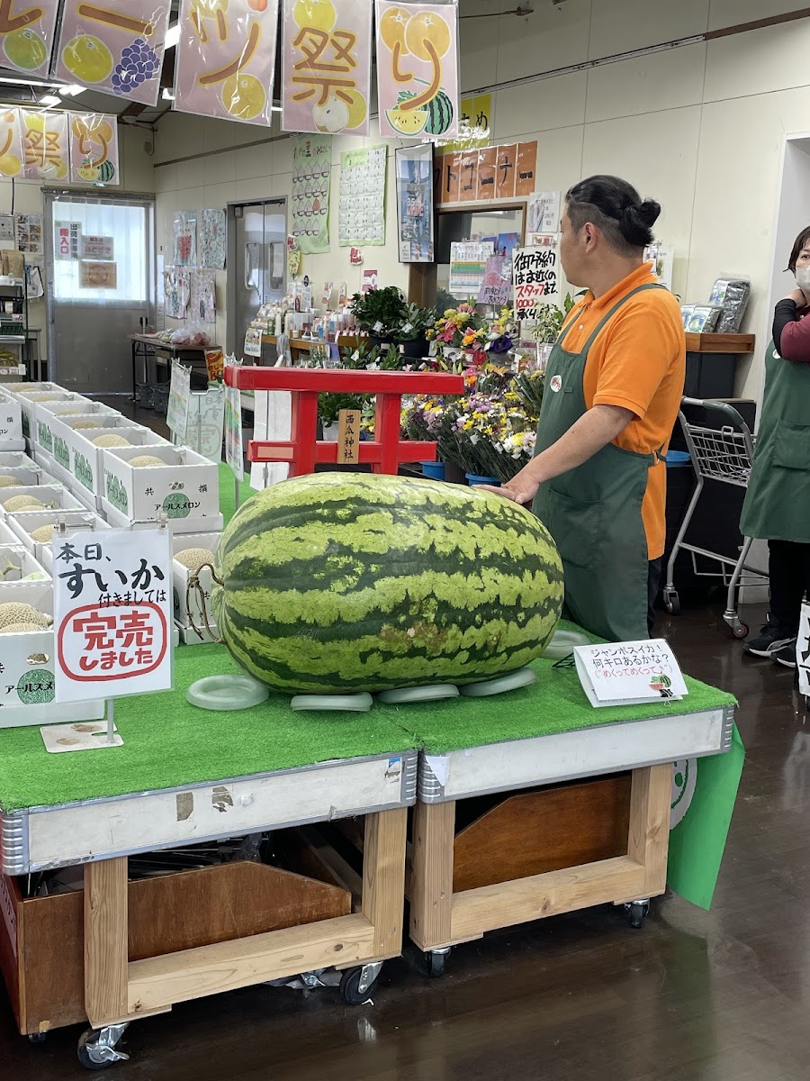 道之驛 西瓜之鄉植木(道の駅 すいかの里 植木) 實景照片 4