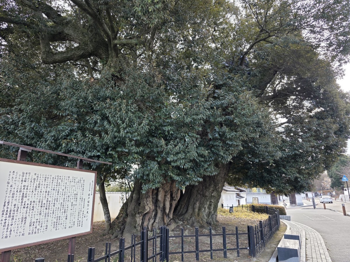 水戶城(水戸城) 實景照片 5