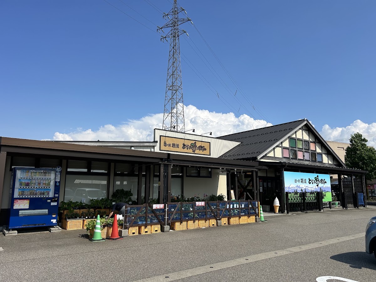 道之驛 礪波（道の駅 砺波） 實景照片 1